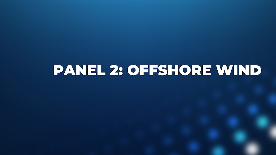 Panel: Offshore Wind