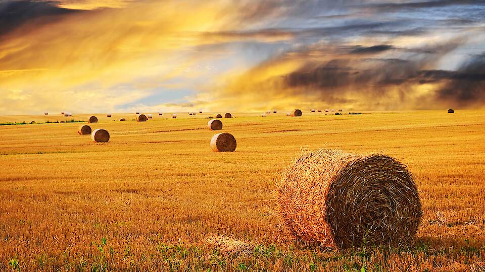 Radviliskis Mashine Factory