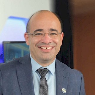 Director, Regional Marketing and Sales at Elta Division