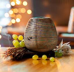 Where to go in St. Petersburg (bars and restaurants)?