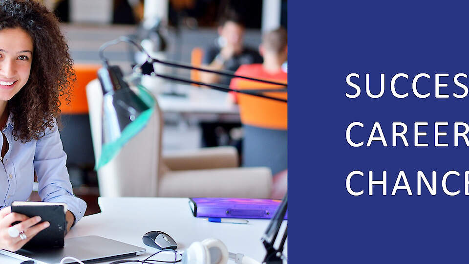 IT sector (Software developers/Data scientists/Data enginneers/cloud specialists/Testers)