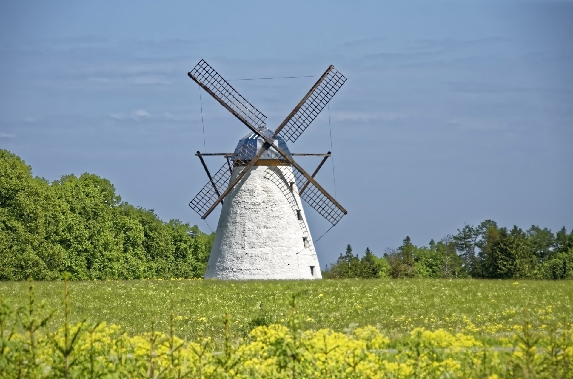 Эстония мельницы