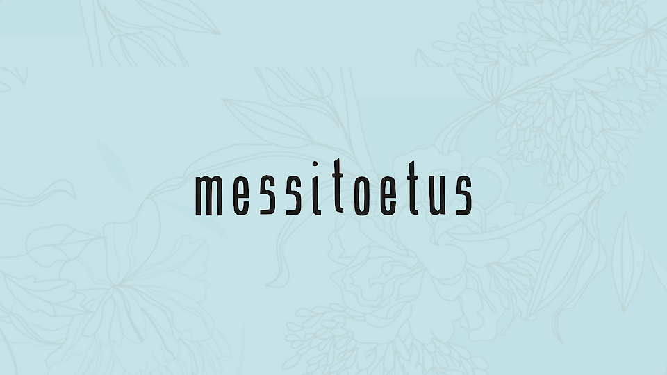 Trade fair support for businesses in Tallinn