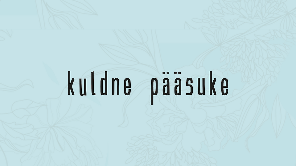 Estonian Hairdressing Championship