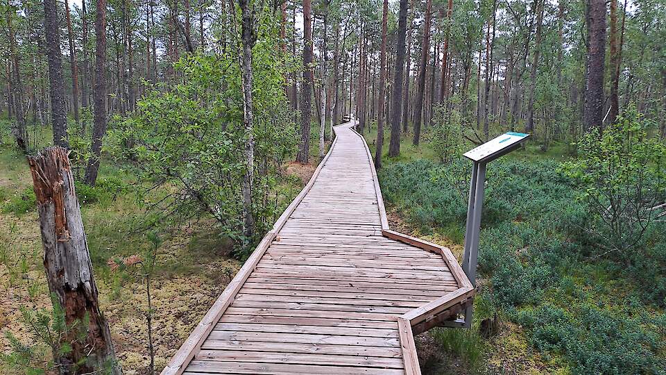 EXCURSION 2. Tartu Observatory, Valgesoo trail, boat trip on Saesaar Reservoir