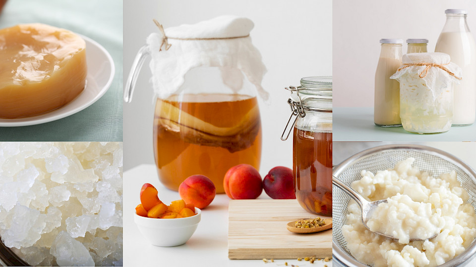 Probiotics for your family