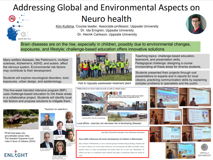 Addressing Global and Environmental Aspects on Neuro health