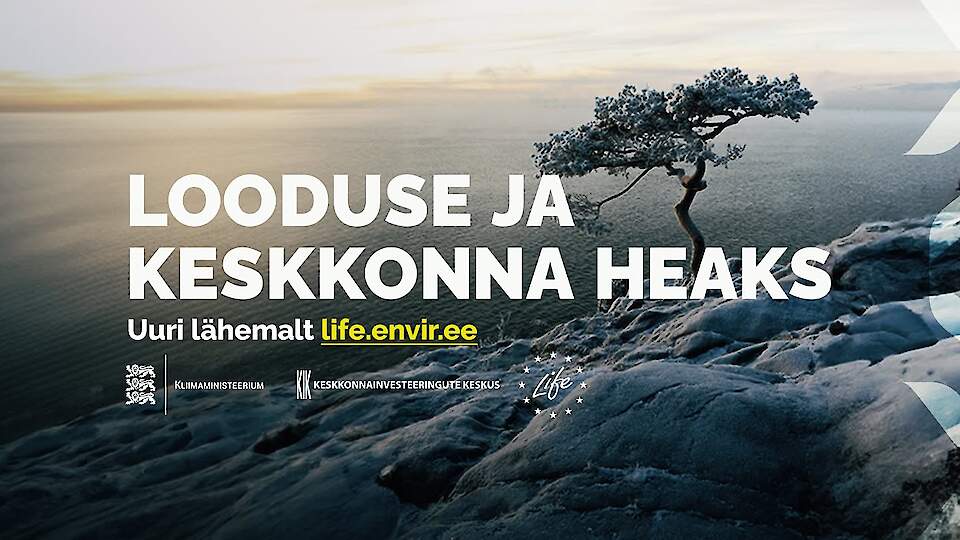 Keskkonnainvesteeringute Keskus