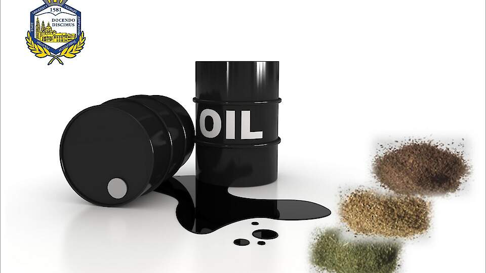 Oil sorbents from crop wastes