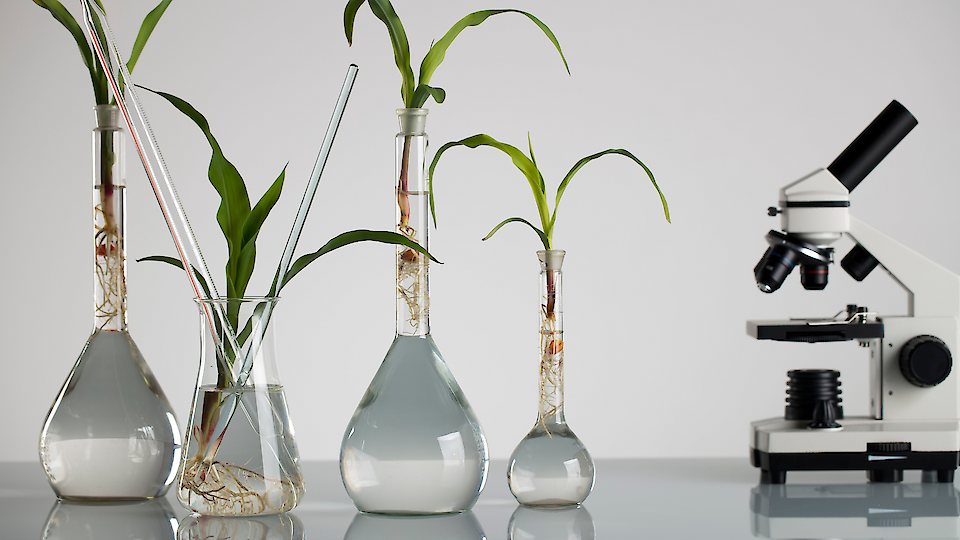 SSPA "The scientific research center of the NASB for bioresources"