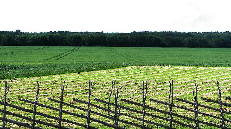 Maaelu Edendamise Sihtasutuse tegevused täna ja tulevikus