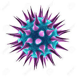 Mikroobide resistentsus (AMR)