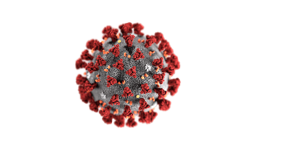 Covid-19 mõjud Eesti põllumajandus- ja toidusektoris