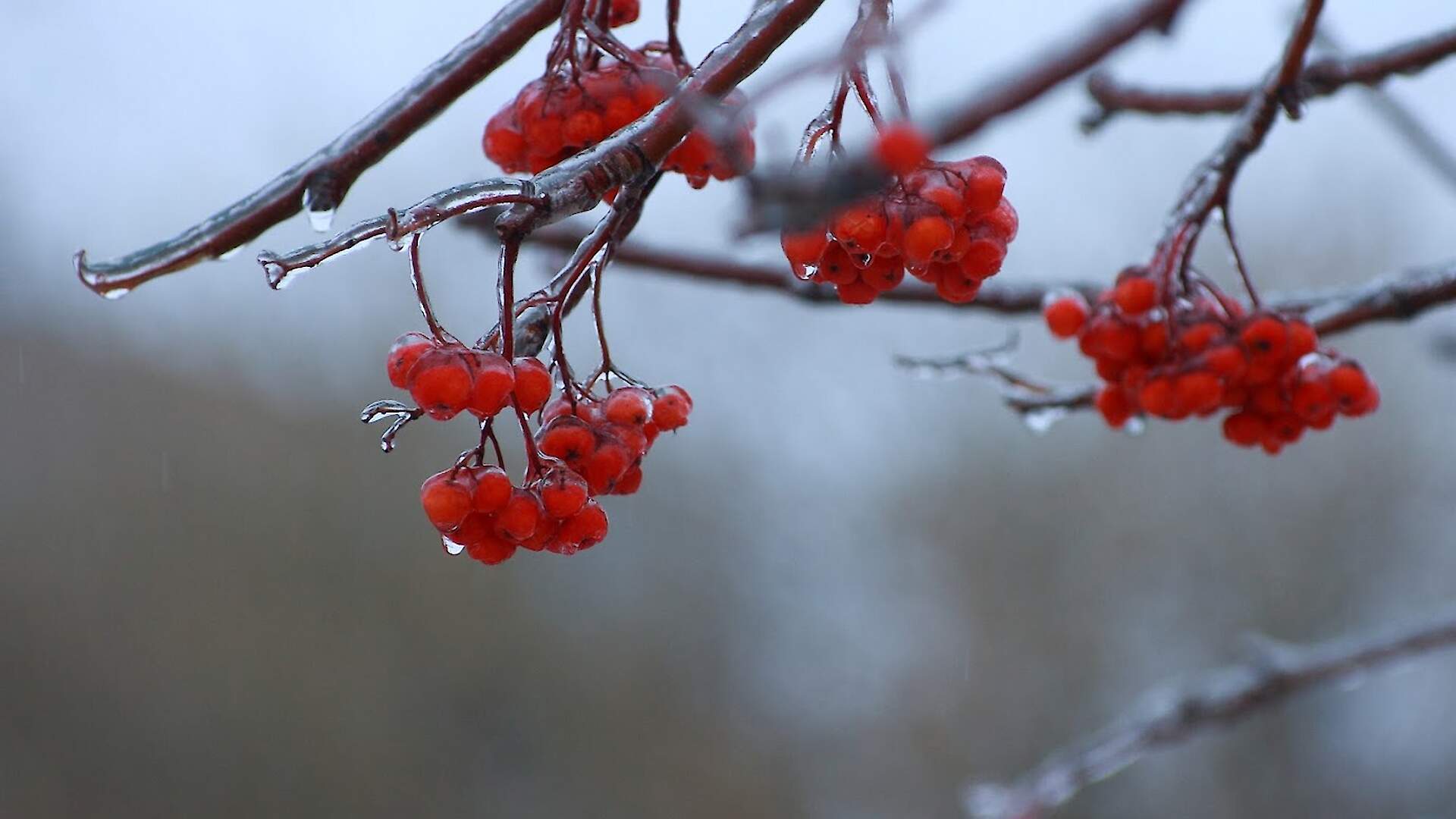 Сейчас ноябрь. Заноябрило ноябрем. Федор-поминальник 75. Праздники 8 февраля народный календарь.