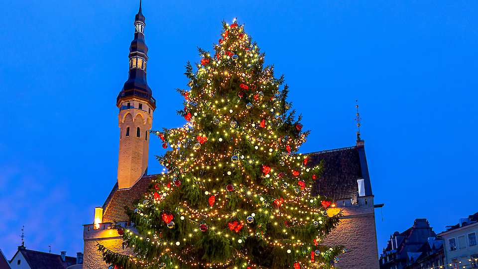 Таллиннская ассоциация гидов приглашает на рождественскую экскурсию по Старому городу!