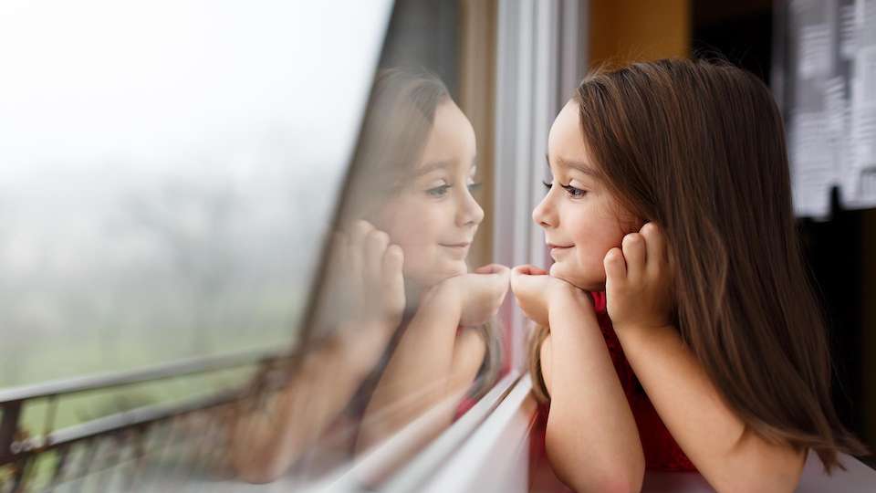 SeiCom | Window Factory