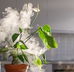 Kuidas niisutada toaõhku? 1. Osa