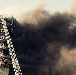 Elimination of the consequences of high temperatures and moisture damage is costly