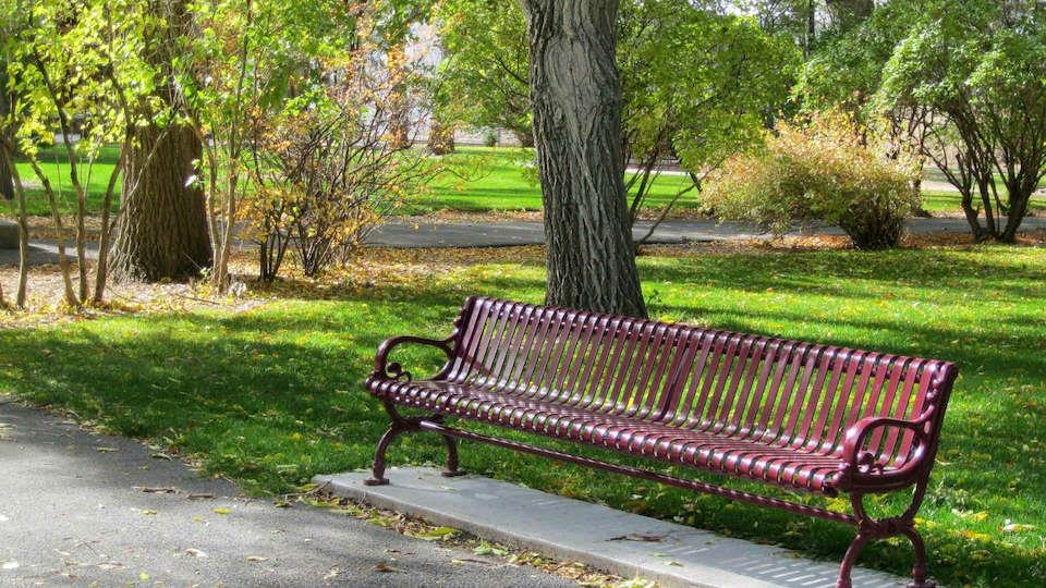 ParkDisain | Park and Street Furniture