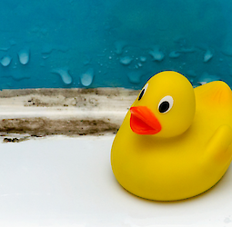 Frost-resistant waterproofing saves the house from its death