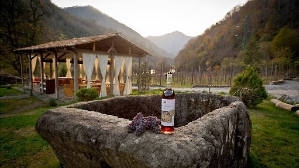 Ühepäevane giidiga ekskursioon | Reis mägedesse ja veinituur