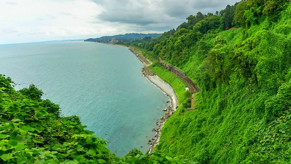 Ühepäevane giidiga ekskursioon | Ekskursioon Batumi botaanikaaeda