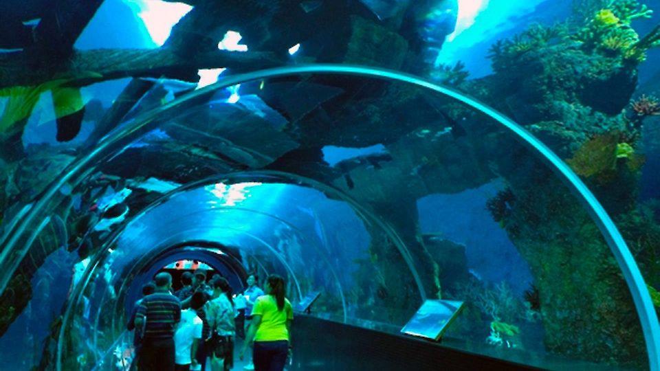 Sukeldu seiklustesse Helsinki Sea Life`s