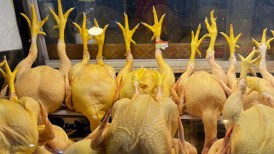 The Big Guide to GEORGIAN Cuisine