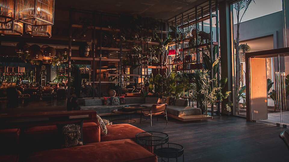 Foto: Katarzyna Urbanek