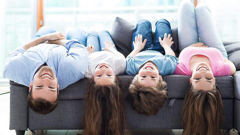 Home and Decoration C grey