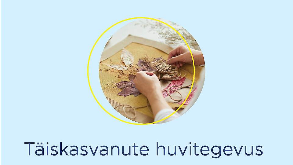 Täiskasvanute huviharidus