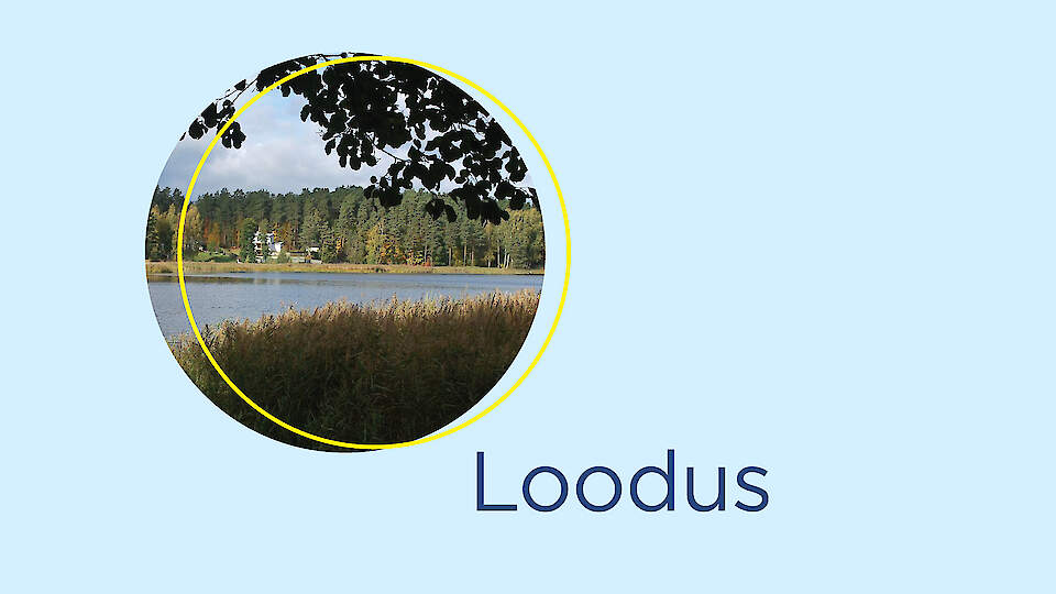 Loodus