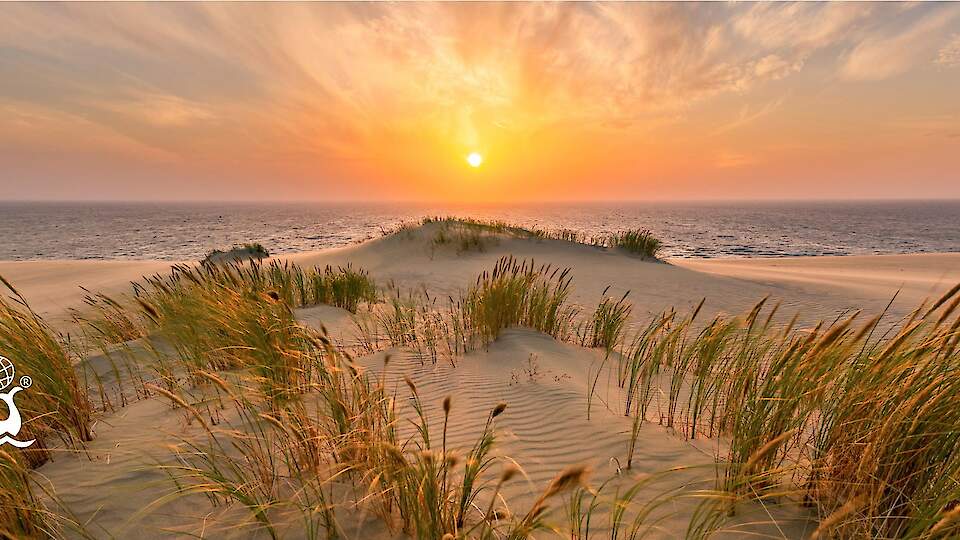 Балтма Турс / Baltma Tours